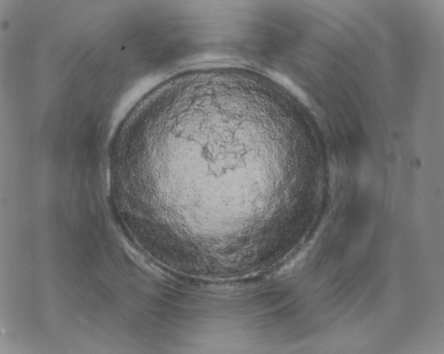 X0000074301413200609151930