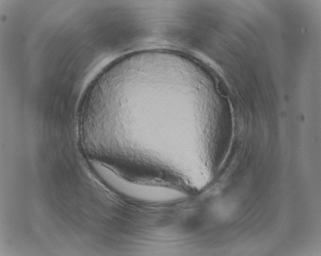 X0000074301415200609151930