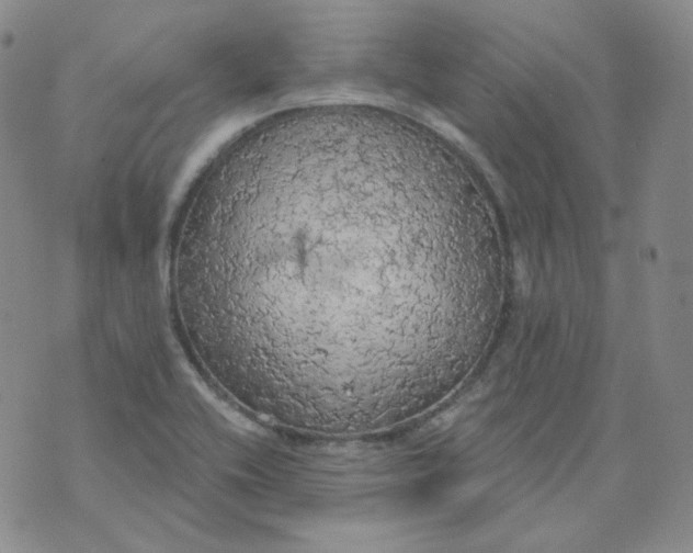 X0000074301416200609151930