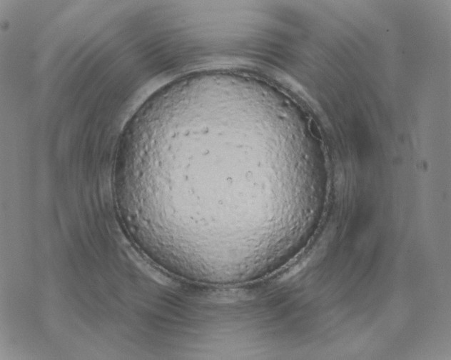 X0000074301417200609151930