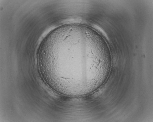 X0000074301419200609151930