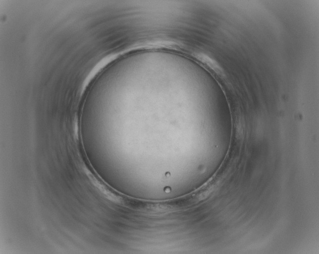 X0000074301420200609151930