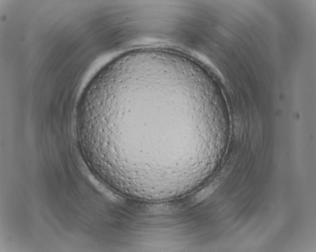 X0000074301421200609151930