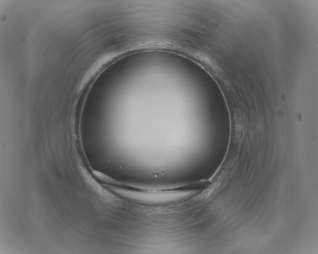 X0000074301422200609151930