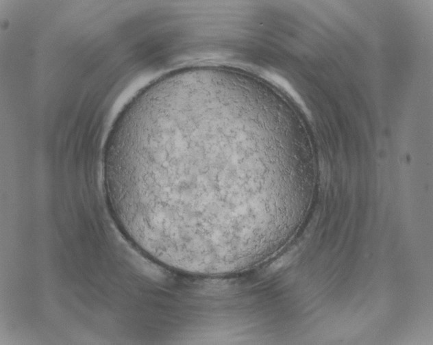 X0000074301424200609151930