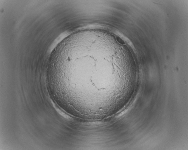 X0000074301425200609151930