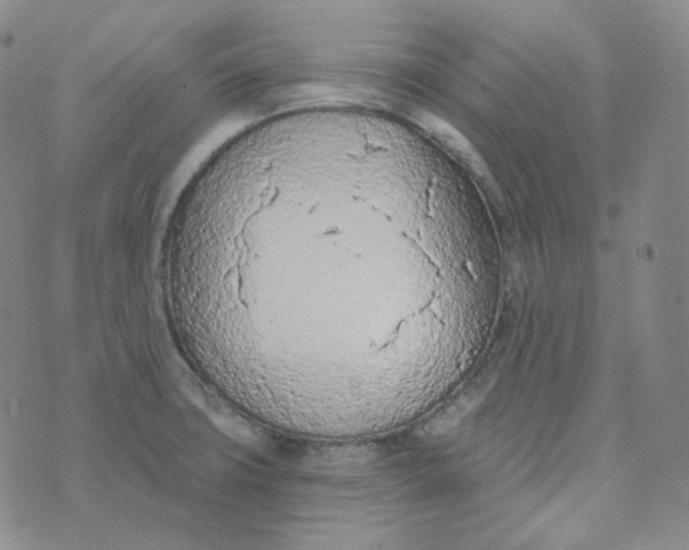 X0000074301427200609151931