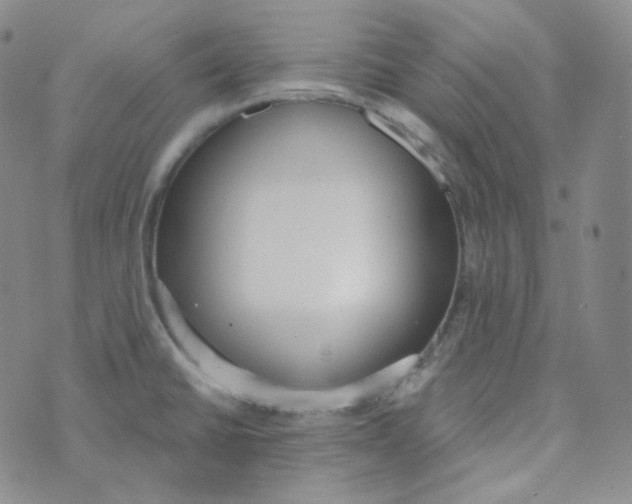 X0000074301430200609151931