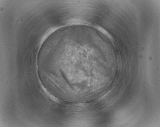 X0000074301431200609151931