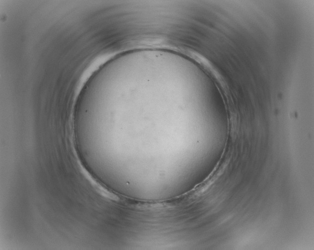 X0000074301432200609151931