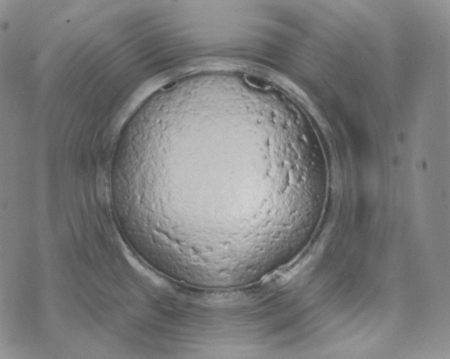 X0000074301433200609151931