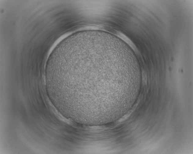 X0000074301436200609151931