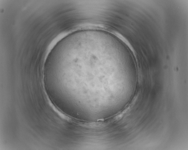 X0000074301437200609151931