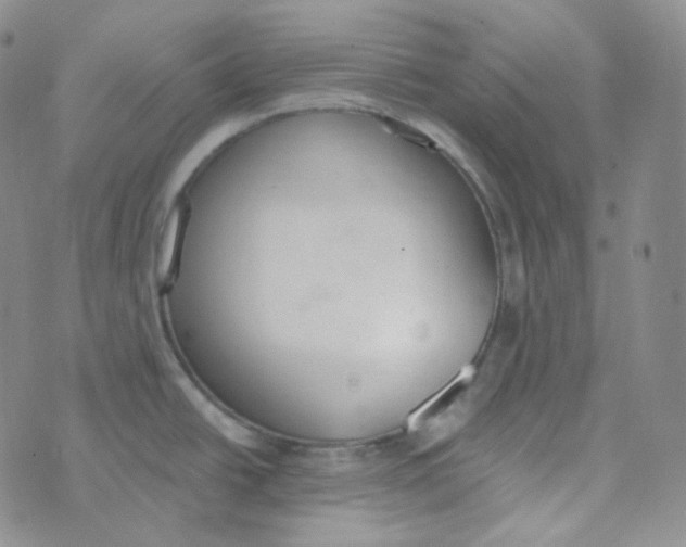 X0000074301438200609151931