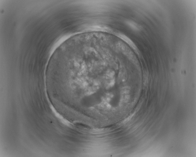 X0000074301439200609151931