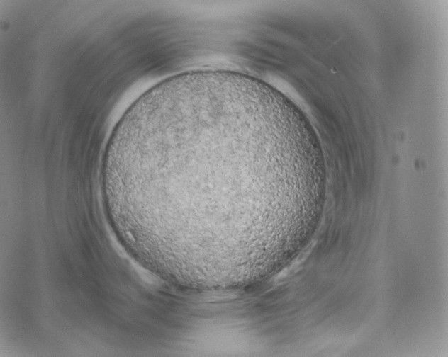 X0000074301440200609151931