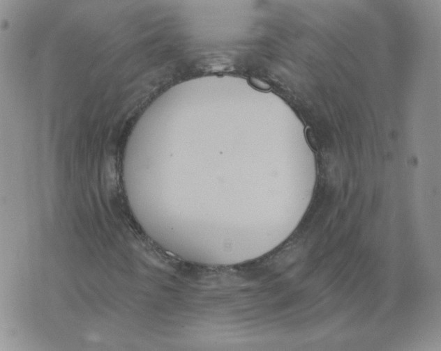 X0000074301442200609151930