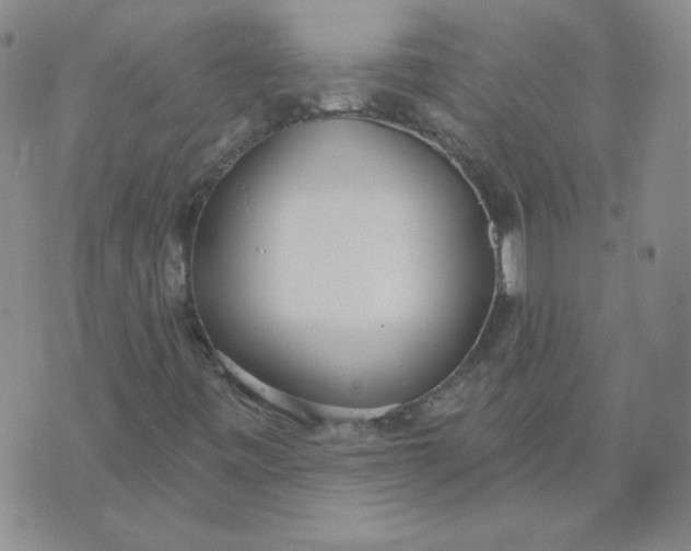 X0000074301443200609151930