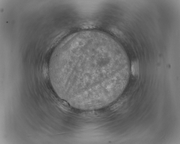 X0000074301444200609151930