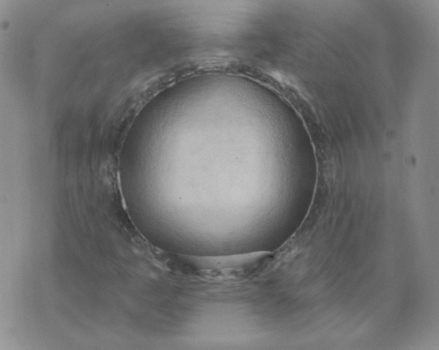 X0000074301445200609151930