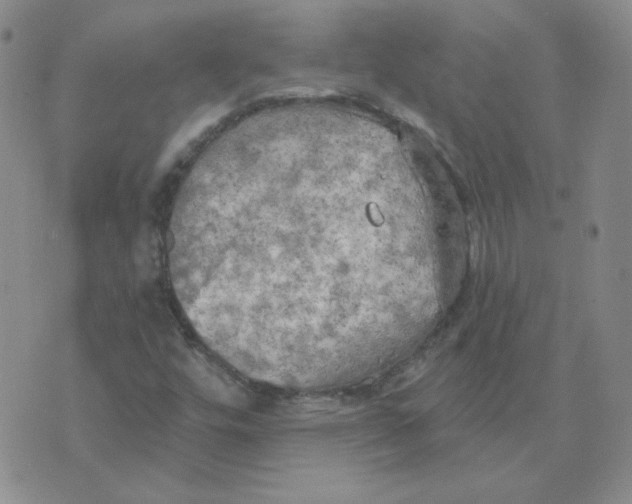 X0000074301448200609151930