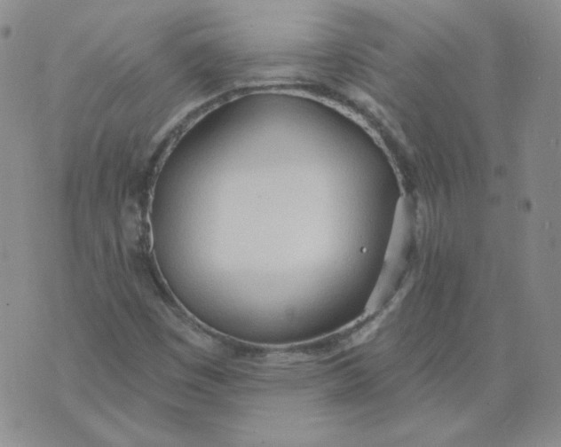 X0000074301449200609151930