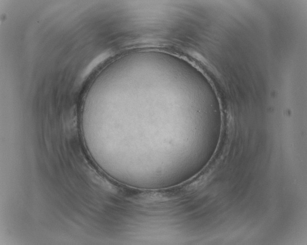 X0000074301450200609151930