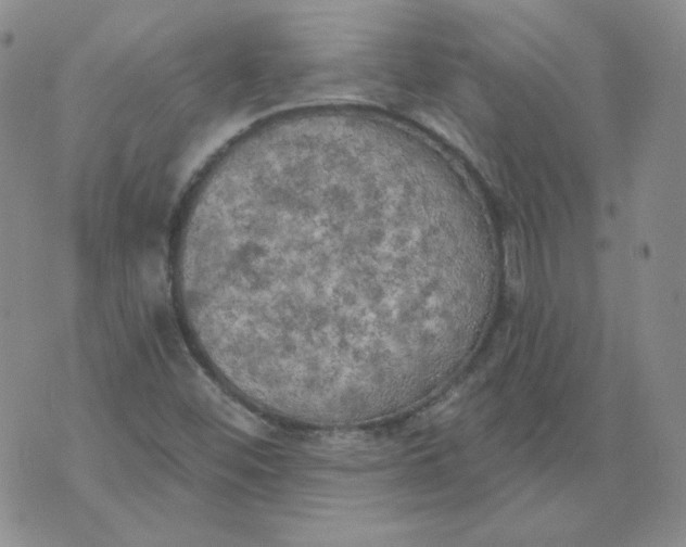 X0000074301452200609151930