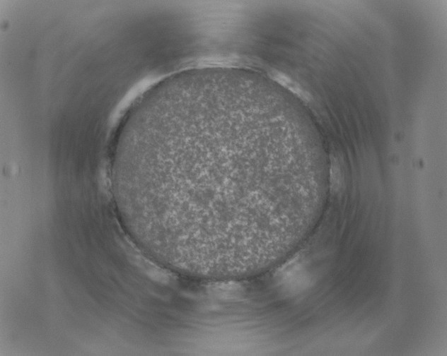 X0000074301454200609151930