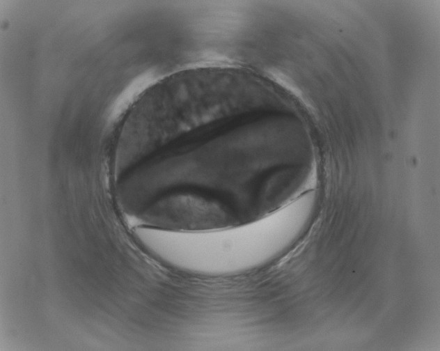 X0000074301455200609151930