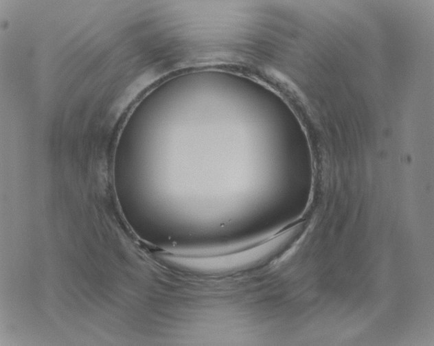 X0000074301457200609151930