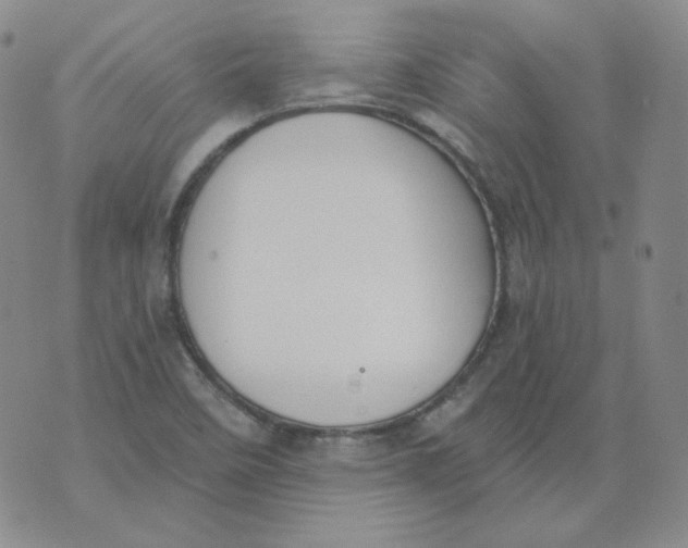 X0000074301458200609151930