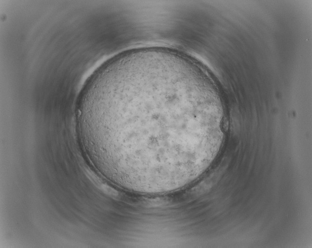 X0000074301460200609151930