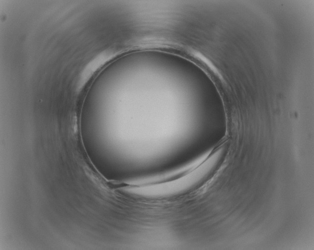 X0000074301461200609151930