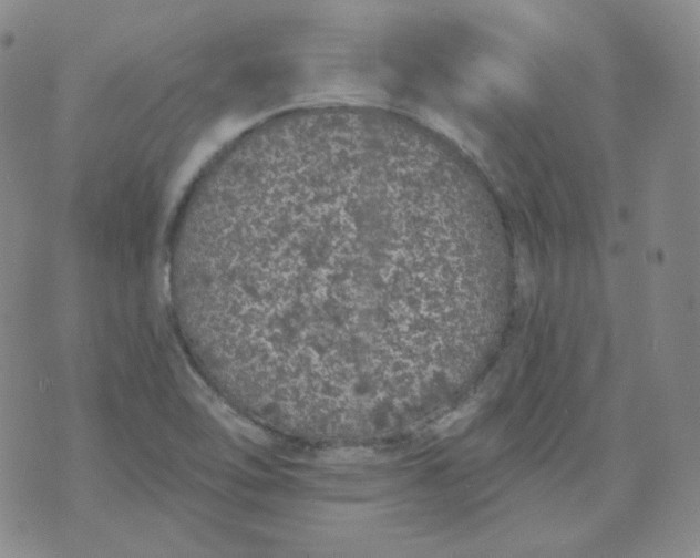 X0000074301462200609151930