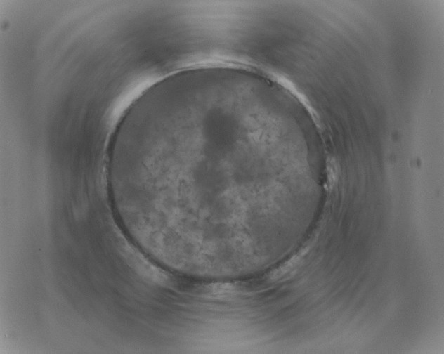 X0000074301463200609151930