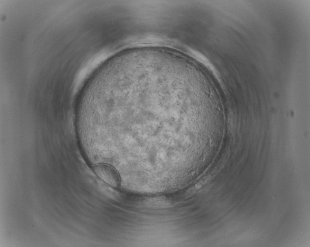 X0000074301464200609151930