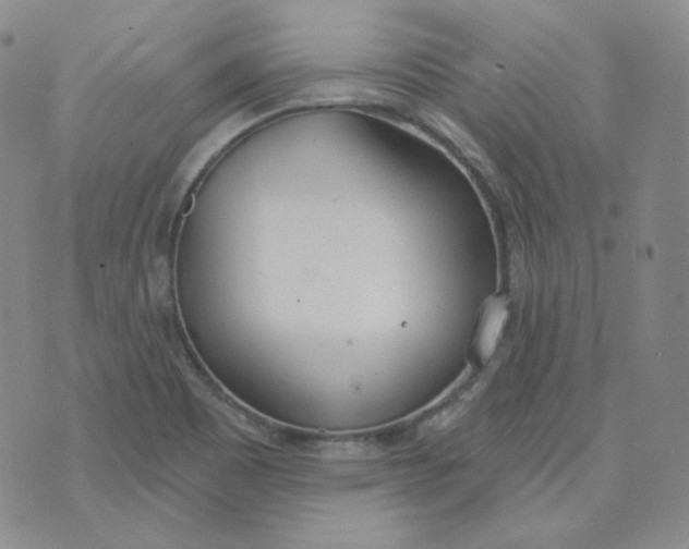 X0000074301465200609151930