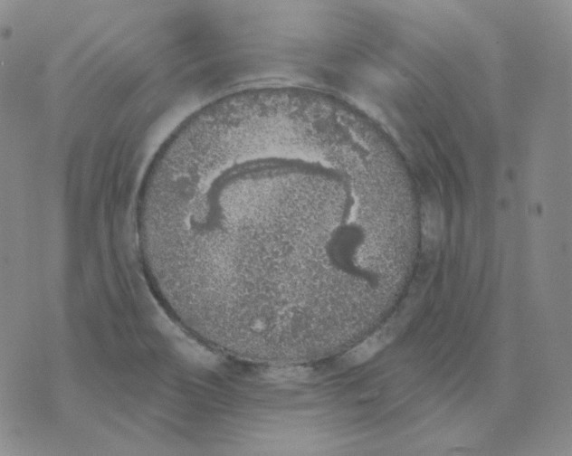 X0000074301466200609151930