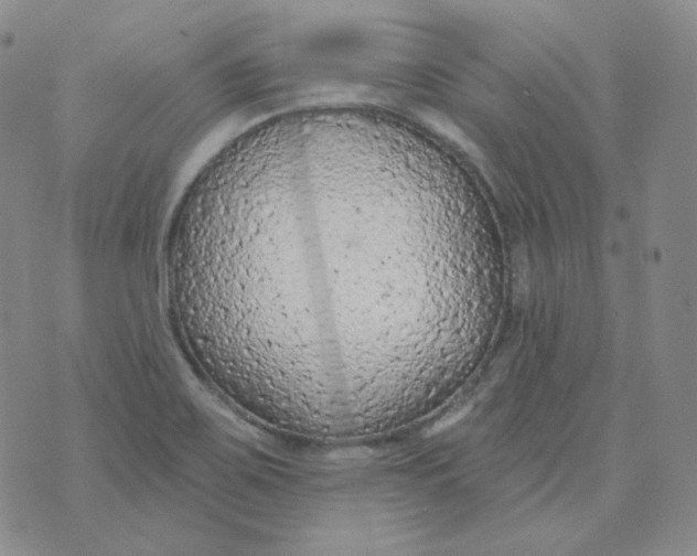 X0000074301467200609151930