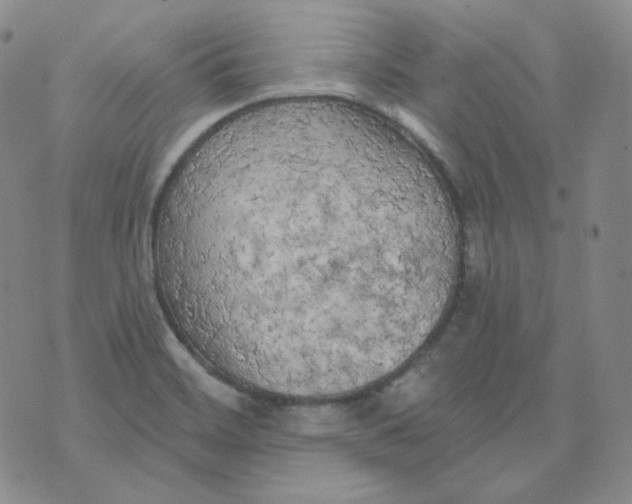 X0000074301468200609151930