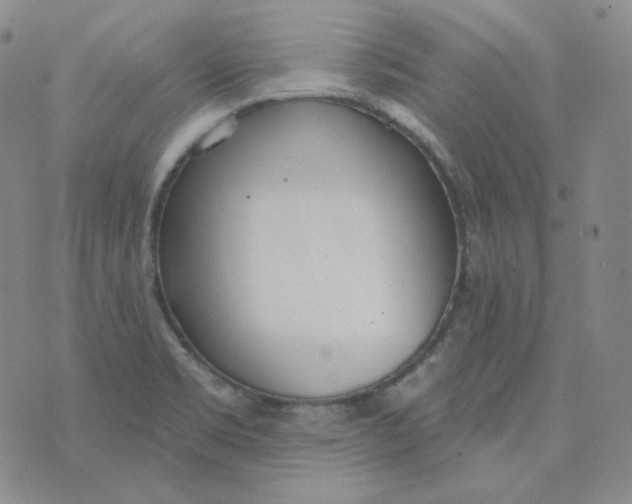 X0000074301469200609151929