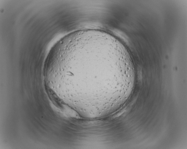 X0000074301471200609151929