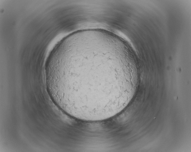 X0000074301472200609151929