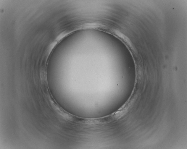 X0000074301473200609151929