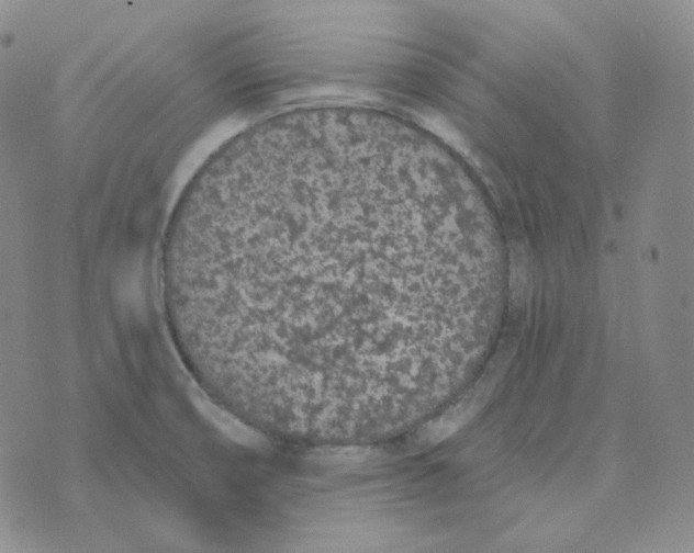 X0000074301474200609151929