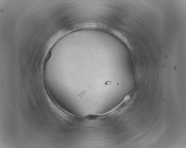 X0000074301475200609151929