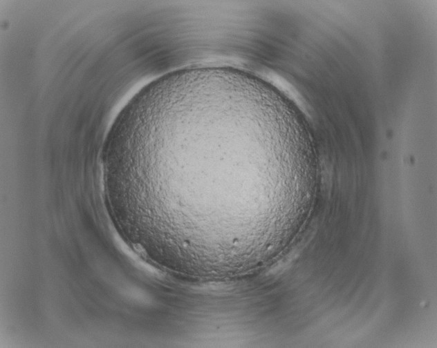 X0000074301476200609151929