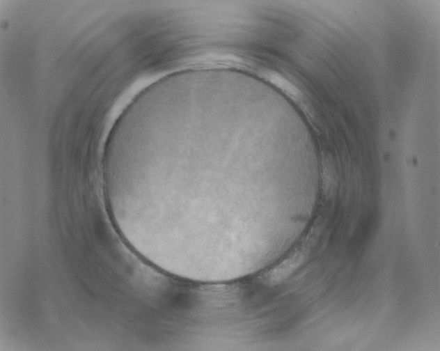 X0000074301478200609151929