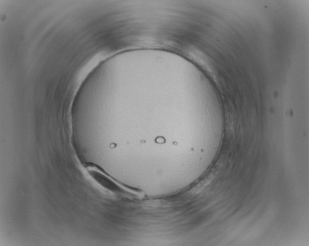 X0000074301479200609151929